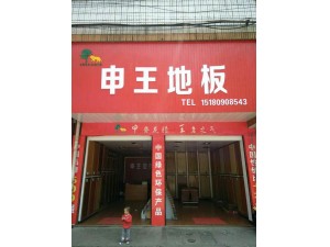 湖南邵陽李總店